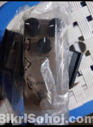 Digital delay effect paddle
